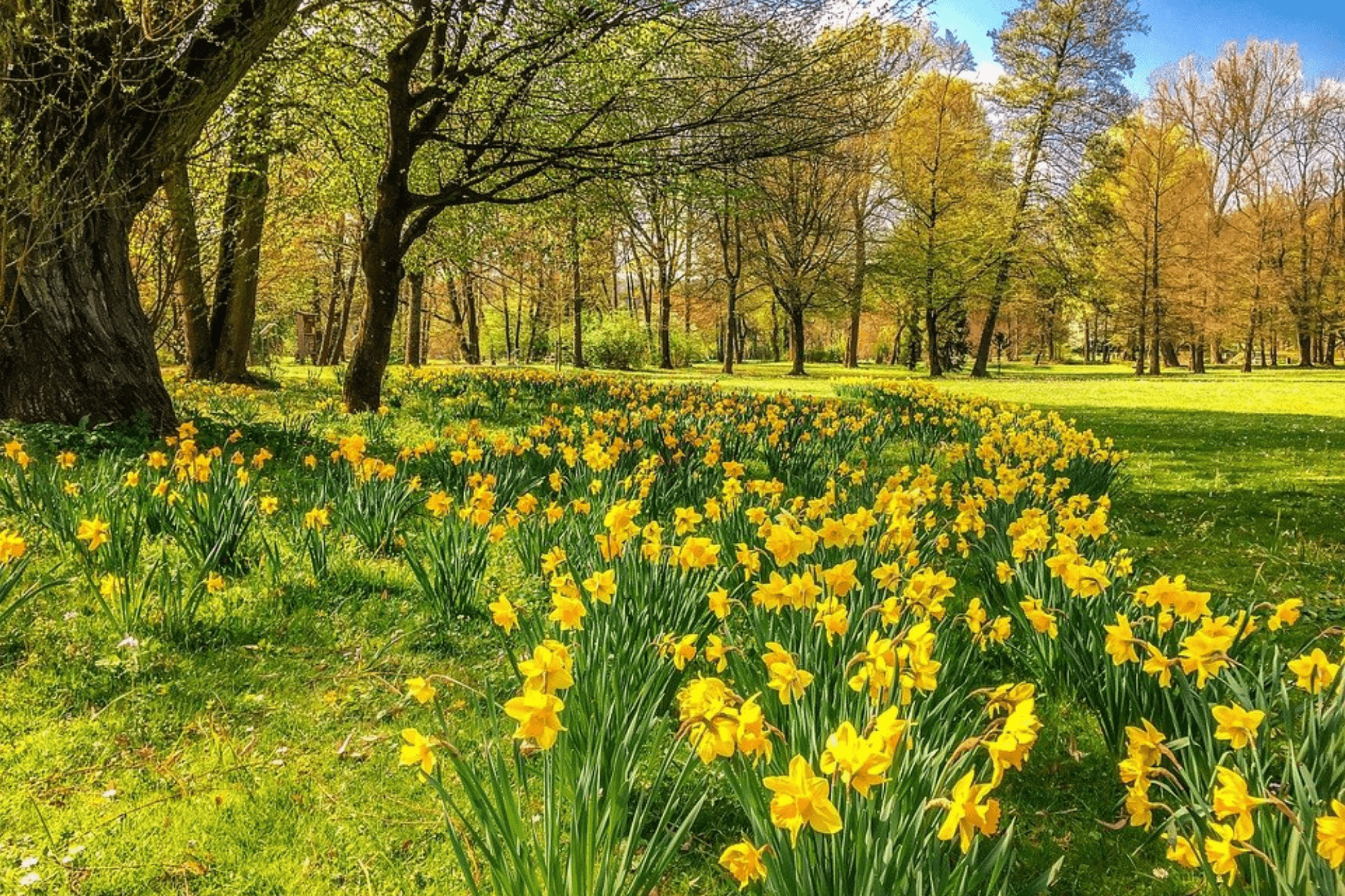 The Best Spring Getaways In and Near New Jersey